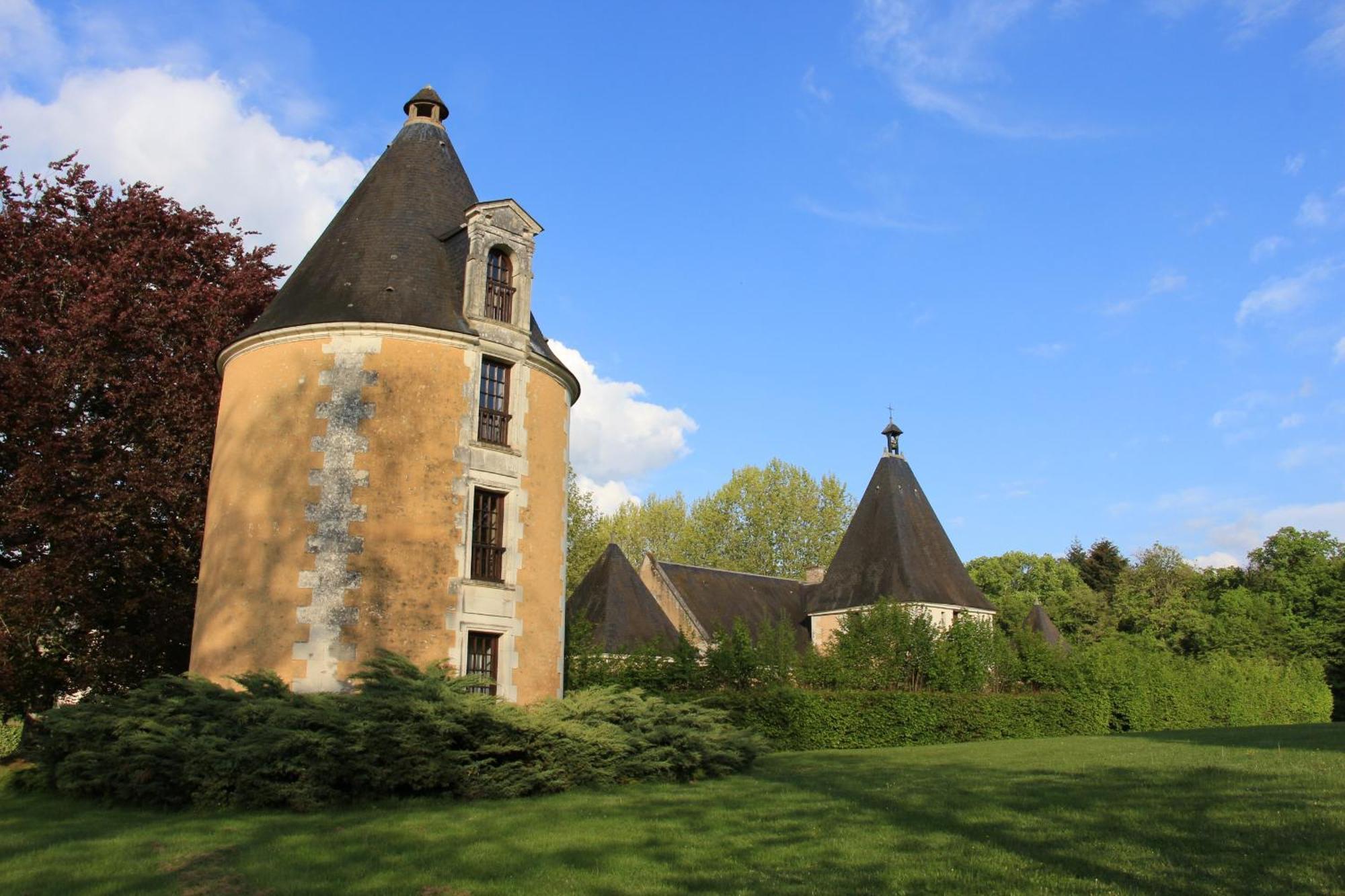 Chateau De La Menaudiere Chissay-en-Touraine Dış mekan fotoğraf