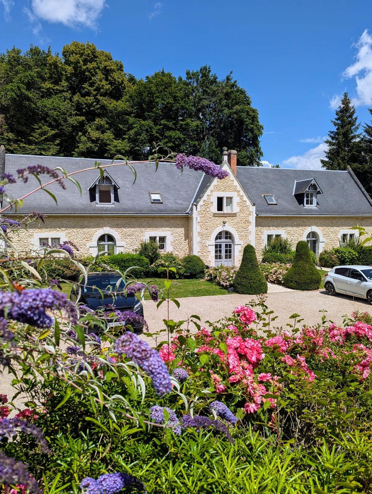 Chateau De La Menaudiere Chissay-en-Touraine Dış mekan fotoğraf